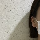 범고래상회 네이버블로그