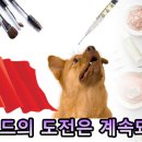시류