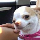 깔깔거리 이미지