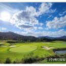 파란메디칼(주) 이미지