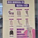 원주 지구상점 다녀온 후기, 작은 실천으로 환경보호 시작하기 (전자쓰레기 수거 가능)