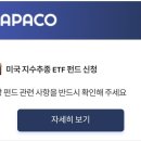 파파코