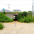 3.1운동길A 이미지