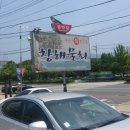 창해물회 식당 이미지