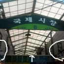 만복도기 Daum카페