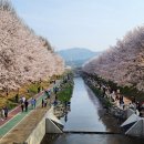 족슐랭 - 서초구 강남대로10길 13 | 족슐랭