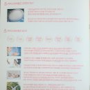 개아나유 이미지