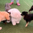 독탑라운지 이미지