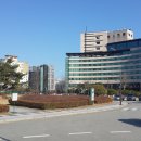 계룡스파텔 이미지