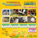 복짓는행복효소방