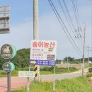 백산농산
