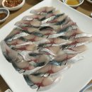 해변횟집 | 제주 애월 현지인 고등어회 맛집 ‘해변횟집’ 내돈내산 후기