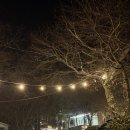 음악이 있는 거리 순창 버스킹 | 순창숙소 | 담양숙소 | 자쿠지 휴식하기 좋은 커플숙소 - 스테이사계 D02 찐 내돈내산 후기