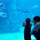 여수오동도민박 이미지