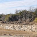 개운포성지 이미지