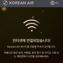 와썹멍 | #대한항공 기내 WIFI 후기 ✈️ (중거리 노선 기준 / AI 서비스 &amp; 업무 가능 여부 테스트)