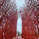 영월 Y파크(술샘박물관) 이미지