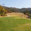 하나그린(주) 이미지
