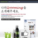 그루밍 단 이미지