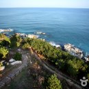 청정해역영덕대게 이미지