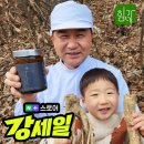 쪽가네 네이버블로그