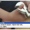 멍키 이미지