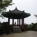 대전비래초등학교 이미지