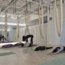 요가와 정신 집중력 강화★원데이 클래스 | 부산요가원데이클래스🌿설연휴 원데이클래스💚가족커플친구와 함께 힐링하기