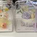 봄강아지 이미지