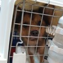 벨라켄넬 이미지