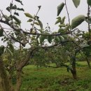 성자농장 이미지