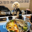 샤브테이 | 대구 동성로 애견동반 밥집 | 샤브샤브 샤브테이 후기