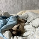 (주)석경 | * 성악했어? 아니요 부케 받았는데요