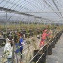 도신농장 이미지