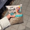양지로10L | [스파티필름] 키우기- 2번의 분갈이, 꽃은 또 언제?