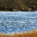 강마을 풍경 이미지