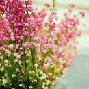 추성경로당 이미지