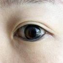 눈사랑안경위드렌즈 사송신도시점 이미지