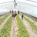 국민농장 이미지