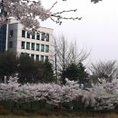 호수언저리 이미지