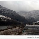 산천초목민박