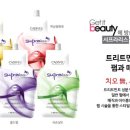 테드헤어 이미지