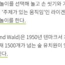 새싹발트유치원 이미지