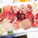 사이꼬참치 이미지