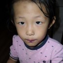 재일목장 이미지