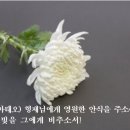 부고 8구역2반 정동원(마태오)선종-김용구(마태오)장인,정재진(아델라)부친 이미지