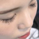 뷰티바이쁘띠미