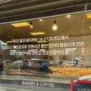 더브래드36.5 운정점 | 파주빵집 운정소금빵 맛집 더브래드36.5도 운정점