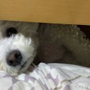 함덕 숨어있는집 이미지