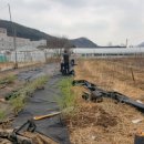 삼화농장2 이미지